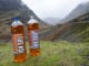 IRN-BRU 2 (1)