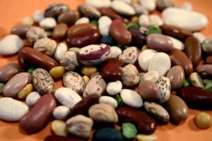Close up view of a variety of dried beans that had been assemble