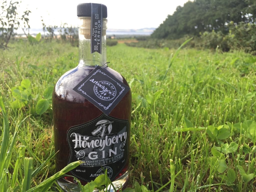 Stewart Arbuckle's honeyberry gin. Picture: Contributed
