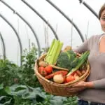 Why Scotland is a great place for a vegetarian to live