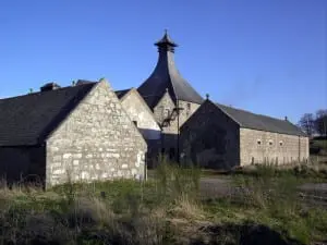 Aberdeen_Angus_im_Gadental_3