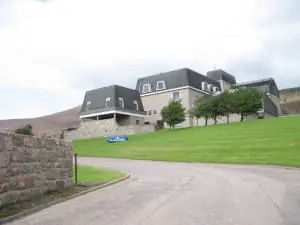 Aberdeen_Angus_im_Gadental_3