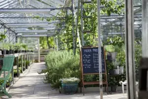 The Secret Herb Garden. Picture: TSHG