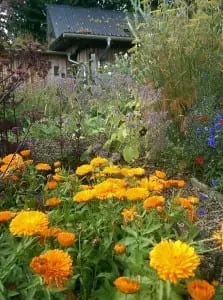 Pillars through the herb garden, just an incredible place for food. Picture: JH