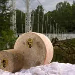 Bid to earn Cambus O'May cheese protected status