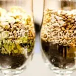 A perfect day out for a beer lover in Edinburgh