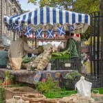 The Scotsman needs your help to find Scotland's best food pioneer
