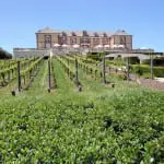 Rose Murray Brown: The best Californian wines for under £25