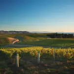 Brian Elliott: There's more to the wines of New Zealand