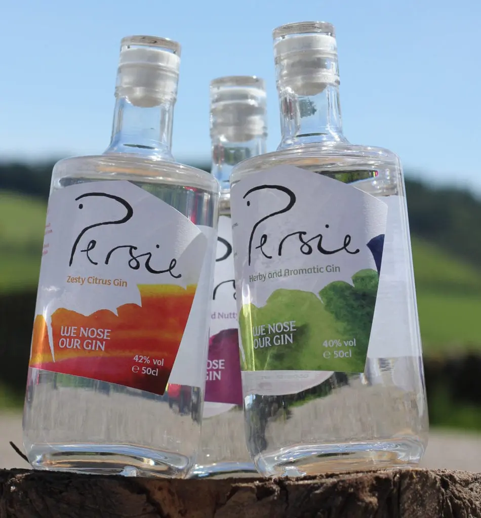best Scottish Gins