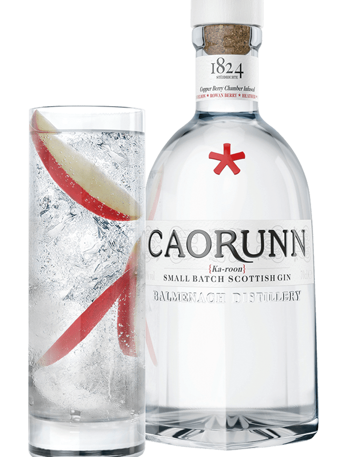 best Scottish Gins