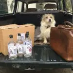 Kelso company wins race to become first distillery to release gin produced in the Borders