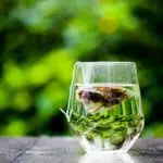 Drinking Green Tea can help 'boost memory and improve learning'