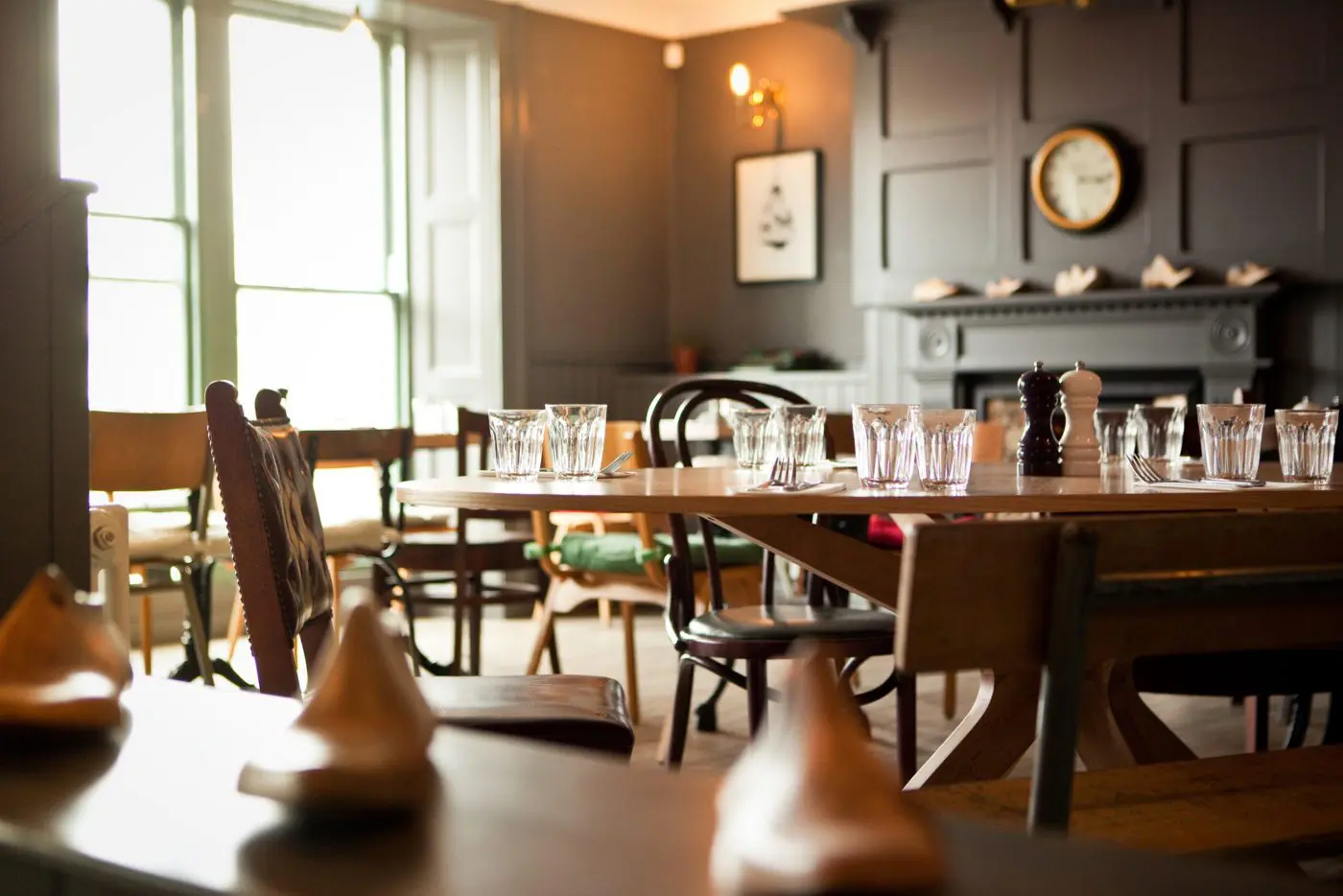dog-friendly Edinburgh