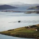 Shetland launches new interactive window for food and drink