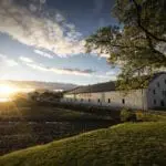 Scottish whisky distilleries reach record numbers of visitors and are set to celebrate with free entry