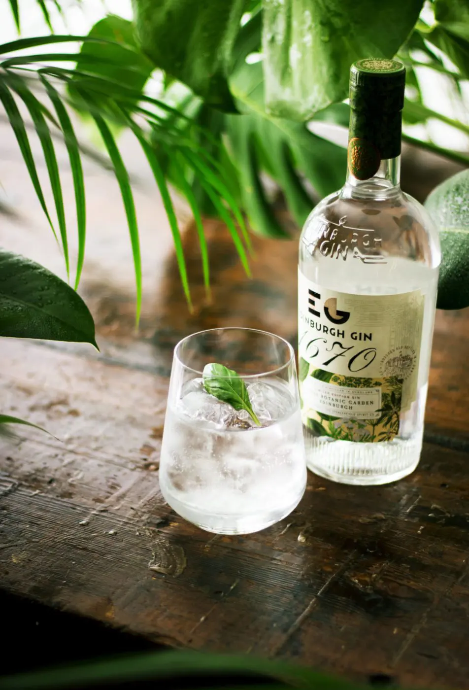 Edinburgh Gin
