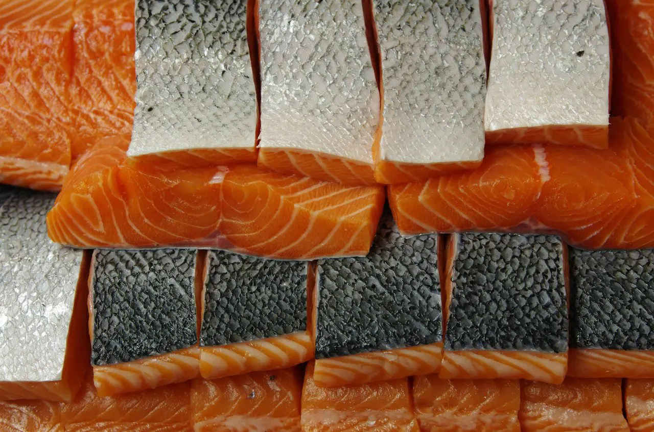 foods that are perfect for burning fat