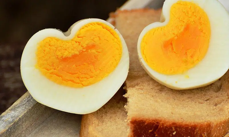 foods that are perfect for burning fat