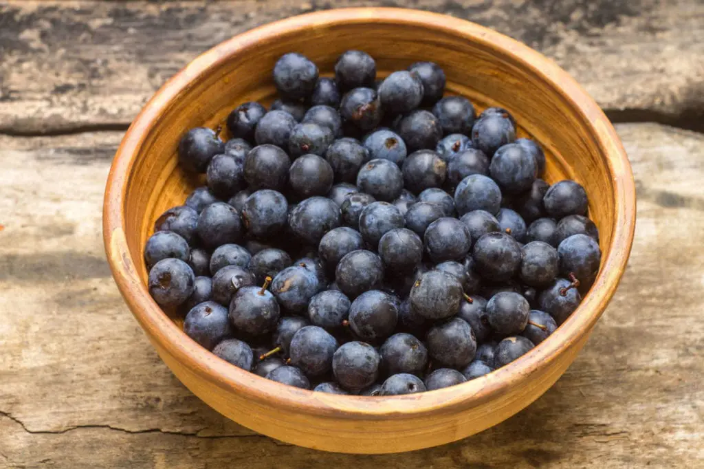 Sloe Gin