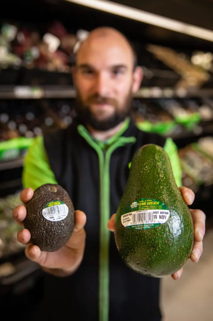 Asda Giant Avocados