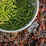 The best places for wild and foraged food in Edinburgh