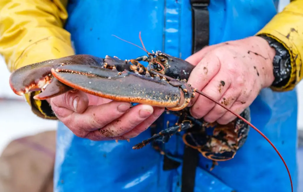 Outer Hebrides food 