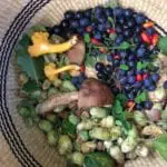 New foraging food festival to take place this autumn