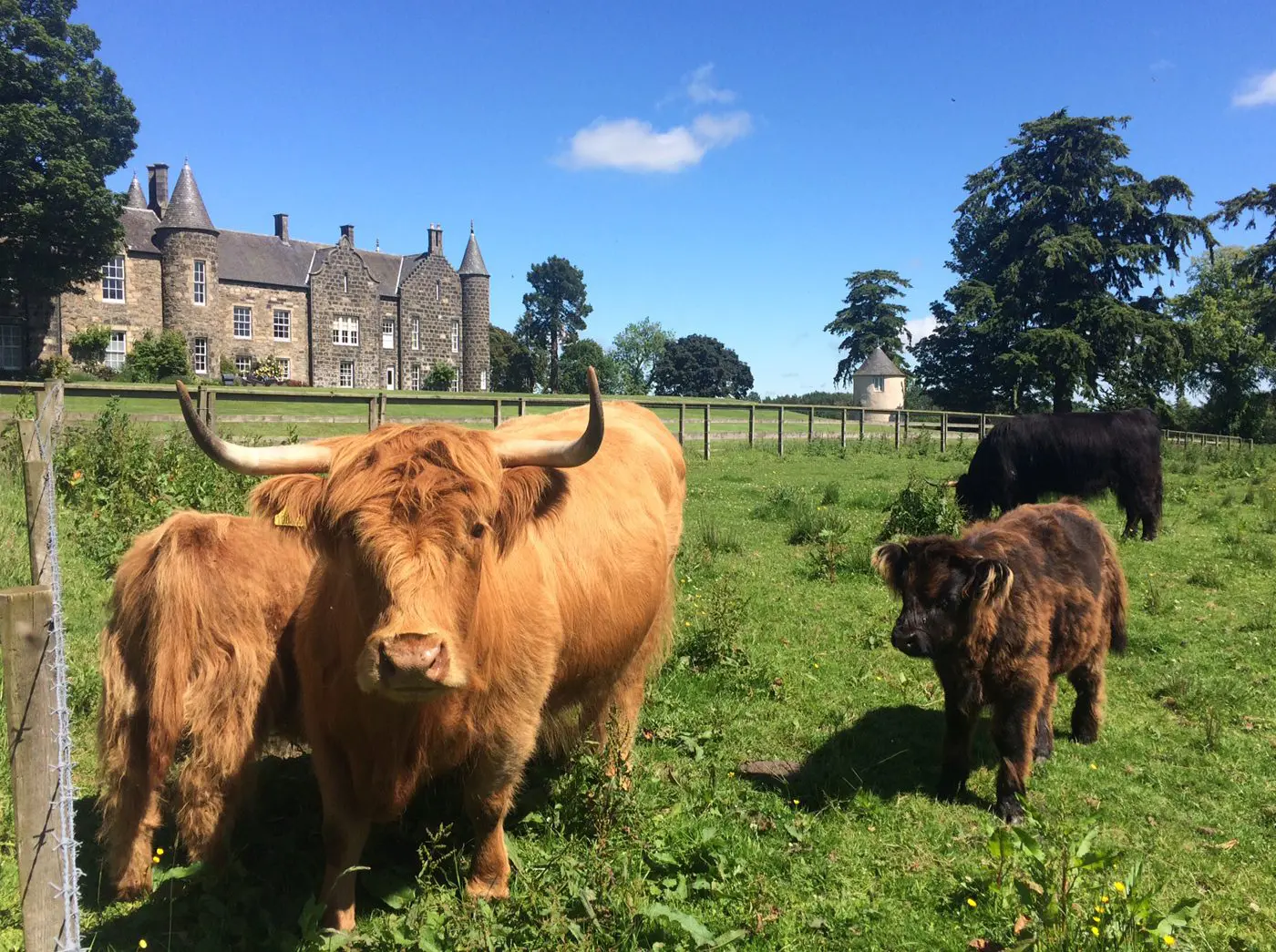 Meldrum House Country Hotel