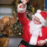 East Lothian restaurant to hold special Christmas themed charity breakfast event for dogs