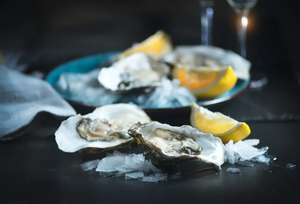 oysterman