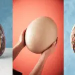 These are the most unusual Easter eggs you can buy - and where to get them
