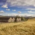 The Malt Whisky Trail distilleries to reopen to visitors from this month - here's where you can visit