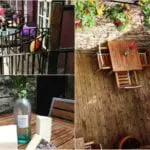 Edinburgh restaurant opens new 'secret gin garden' as part of revamp which will include brasserie