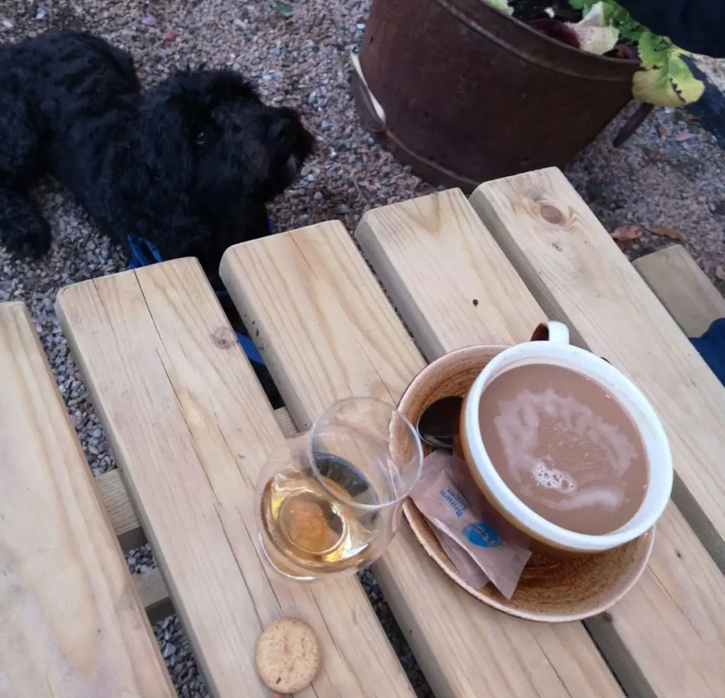 dog-friendly
