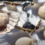 The Ethical Shellfish Company to cease trading - and gives Covid and Brexit among reasons for closure