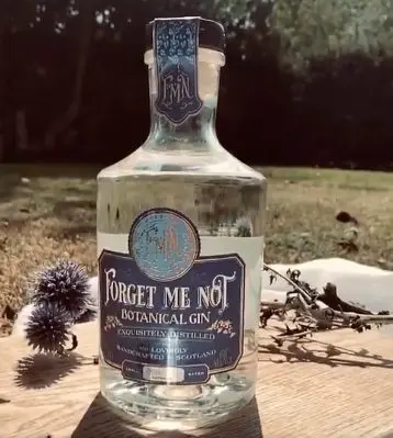 international scottish gin day