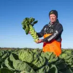 Scotland’s Larder: Chris Logan, Brussels Sprouts farmer from East Lothian