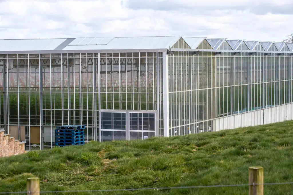 Glasshouse at Standhill Farm near Hawick