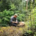 The story behind foraging company Wee Folk of the Woods - who supply The Kitchin