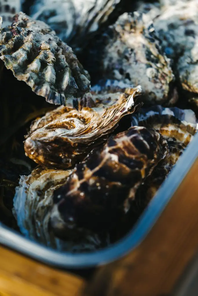 The Caledonian Oyster Company