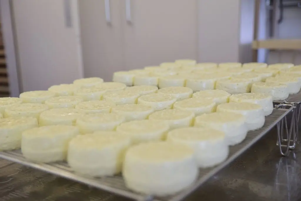 Strathearn Cheese Co.