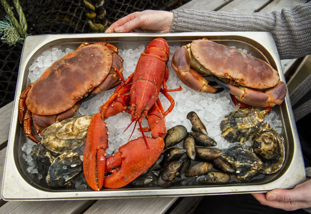 Loren McBay The Lobster Shop