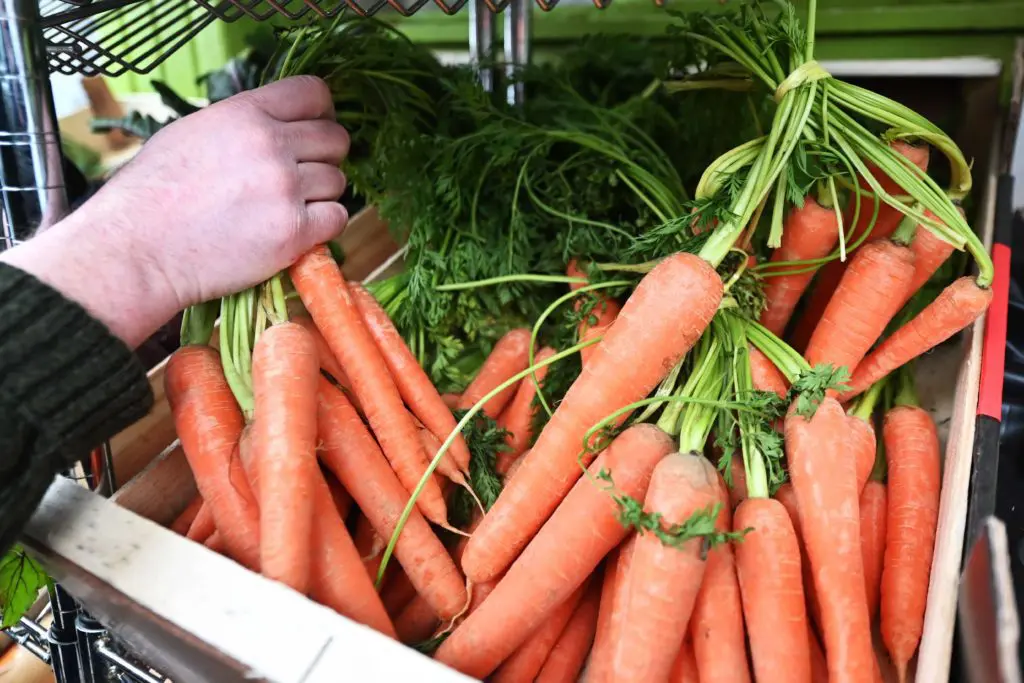 Ashby's Fruit & Vegetable