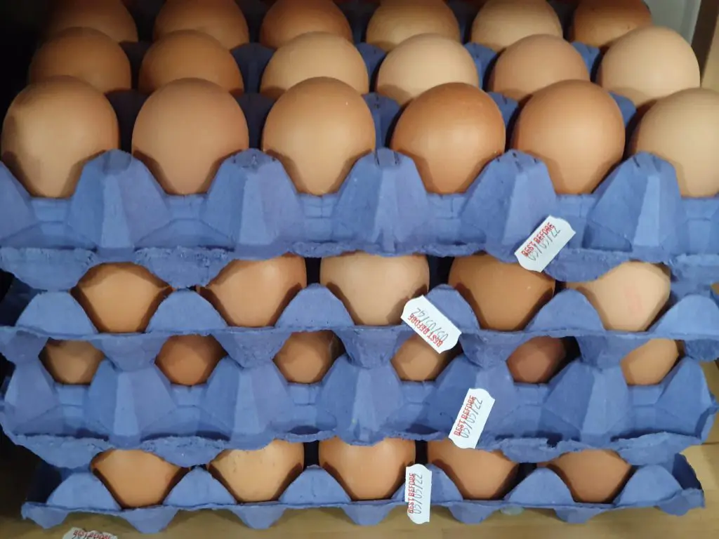 Claire Strathern of Egglicious Eggs