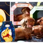 Taste test: the best (and the worst) supermarket Easter Eggs for 2022