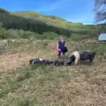 Scotland's Larder: Amanda Coates of The Wee Pig Company, Oban