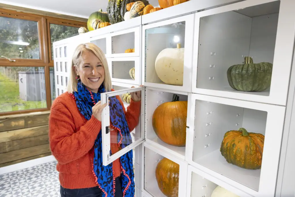 Arnprior pumpkin vending machine