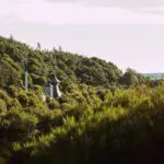 Spirit of Speyside 2023: 8 whiskies win awards - including Glenlivet and Tamdhu