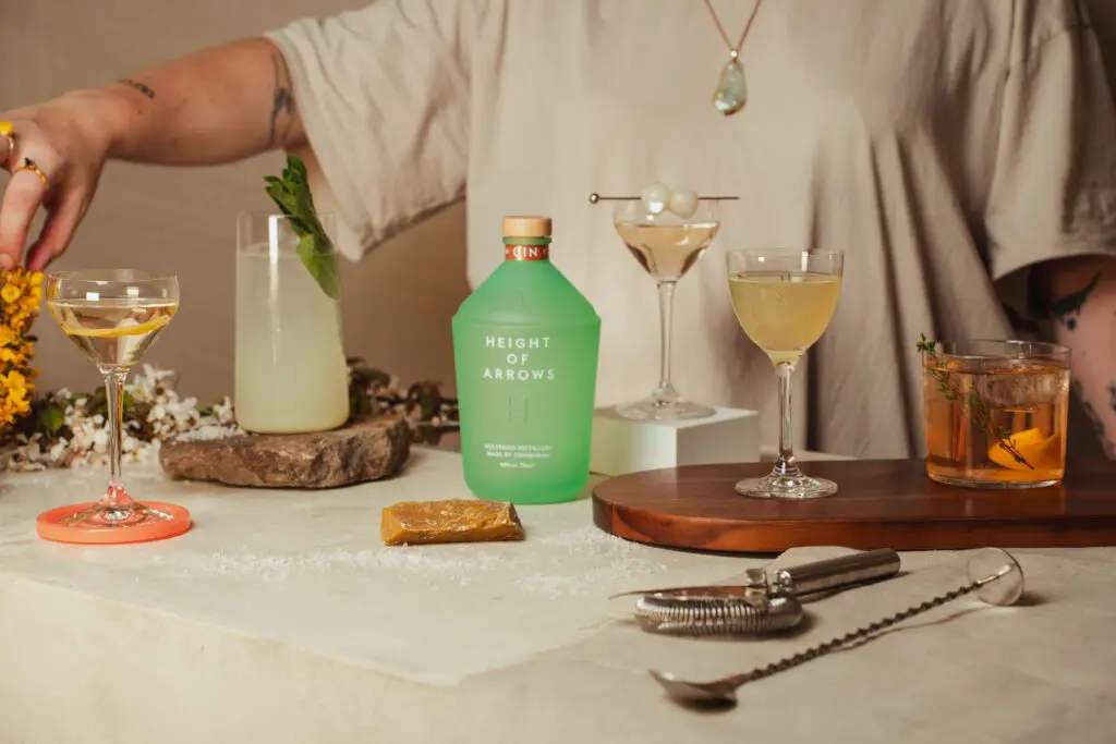 Gin cocktail Gibson